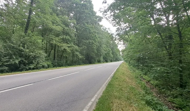 Działka leśna Borzęcin