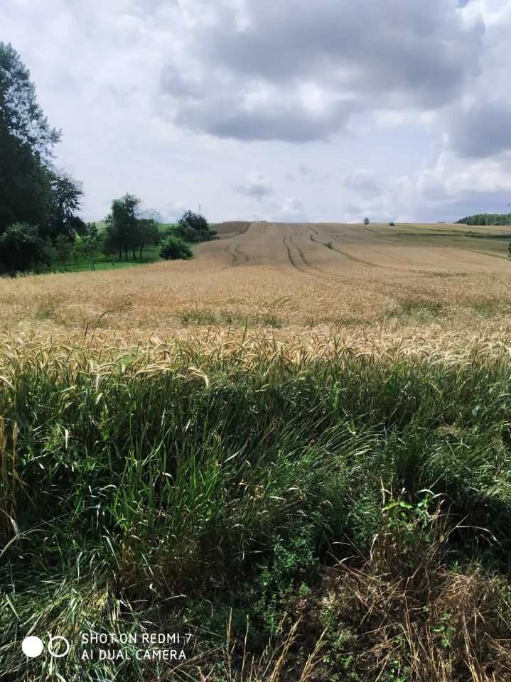 Działka rolna Huta Dzierążyńska