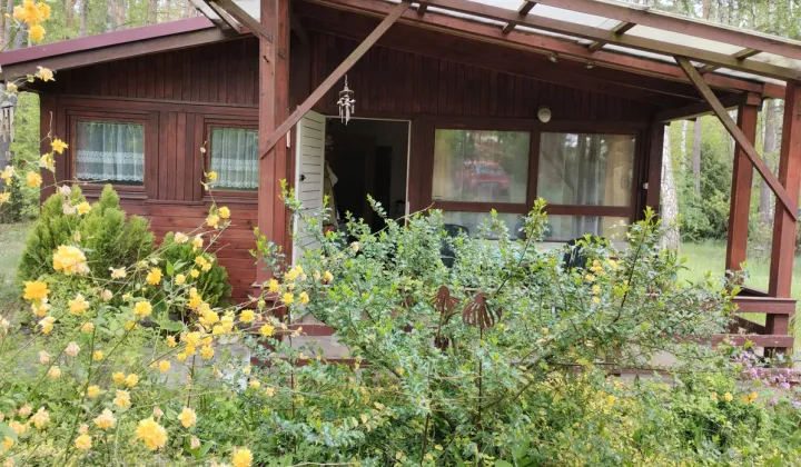 Działka budowlana Zofiówka, ul. Cienista