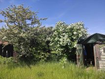 Działka rod Wrocław Fabryczna, ul. Szczecińska. Zdjęcie 4