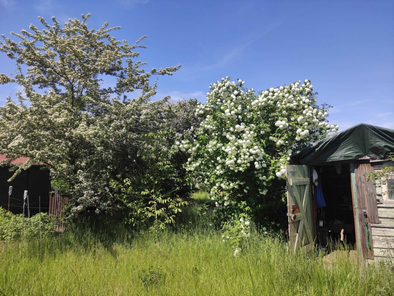 Działka rod Wrocław Fabryczna, ul. Szczecińska. Zdjęcie 5