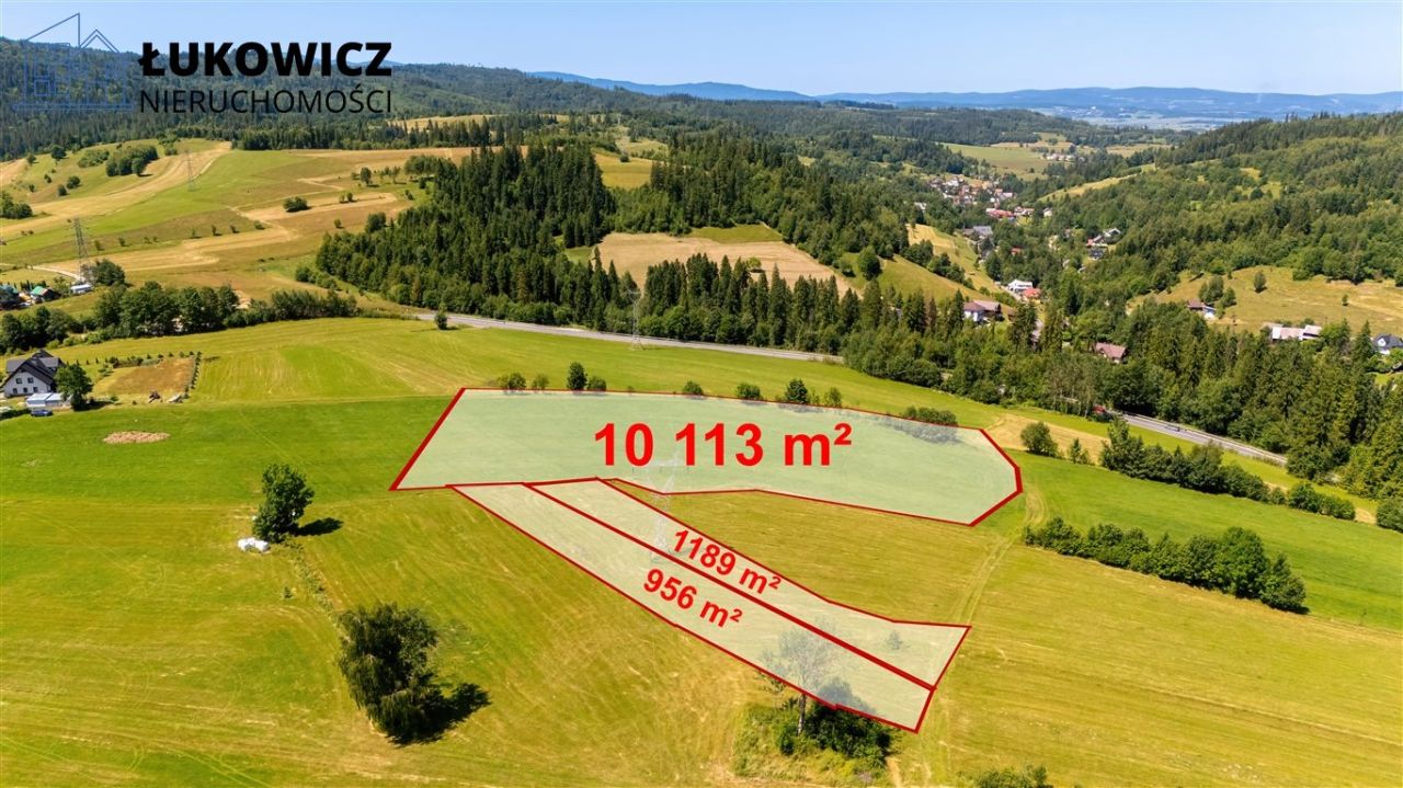 Działka leśna Pieniążkowice. Zdjęcie 17