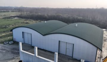 Hala/magazyn Barczygłów, ul. Wschodnia