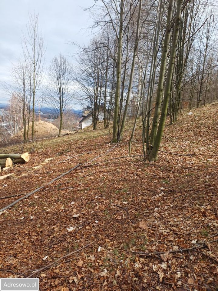 Działka budowlana Piechowice, ul. Skalna. Zdjęcie 4