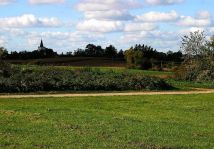 Działka budowlana Złotogłowice. Zdjęcie 4