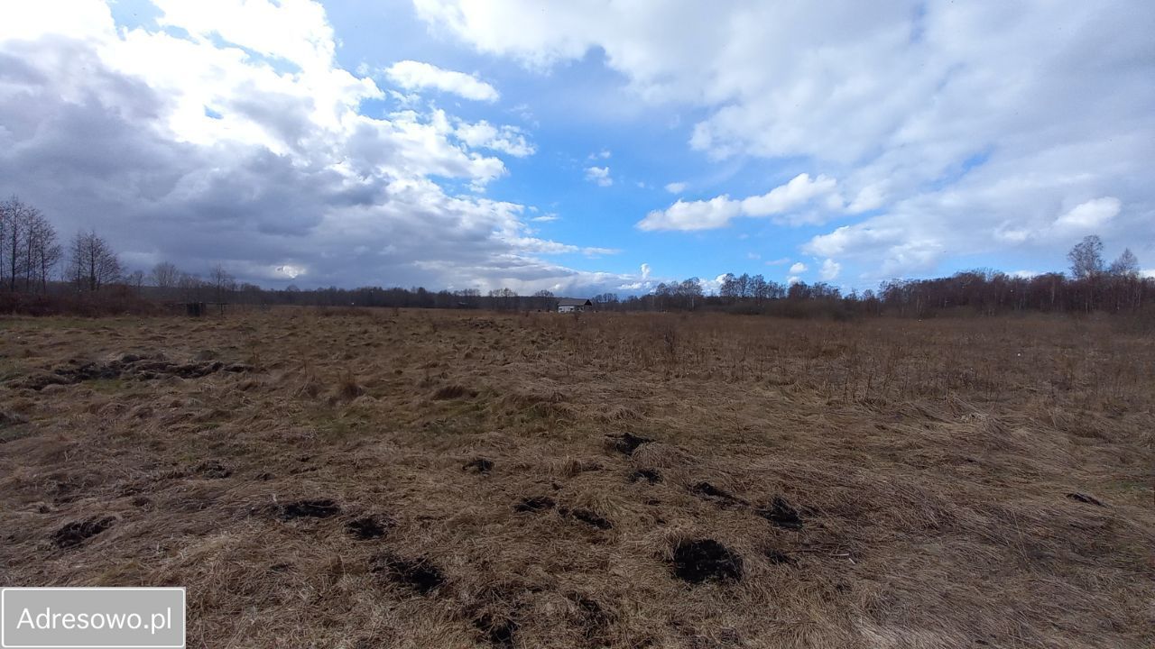 Działka rolna Sasino, ul. Żurawia. Zdjęcie 7