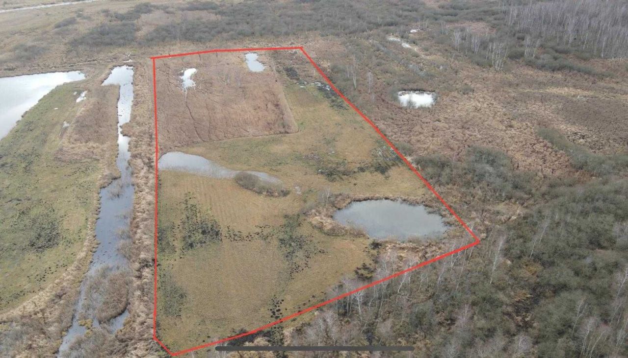 siedlisko Anieliny. Zdjęcie 5