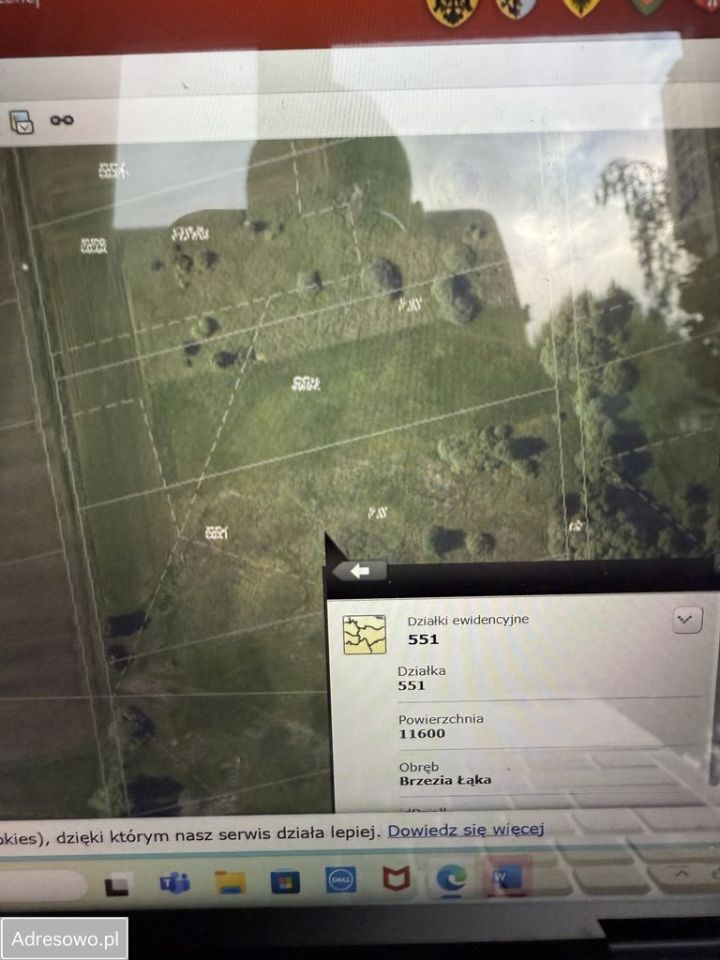 Działka rolna Brzezia Łąka