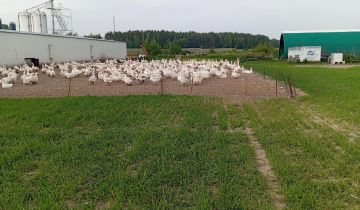 Nieruchomość komercyjna Osiecza Druga