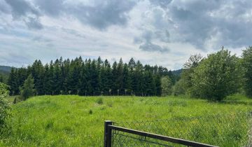 Działka budowlana Tylicz, ul. Wolności