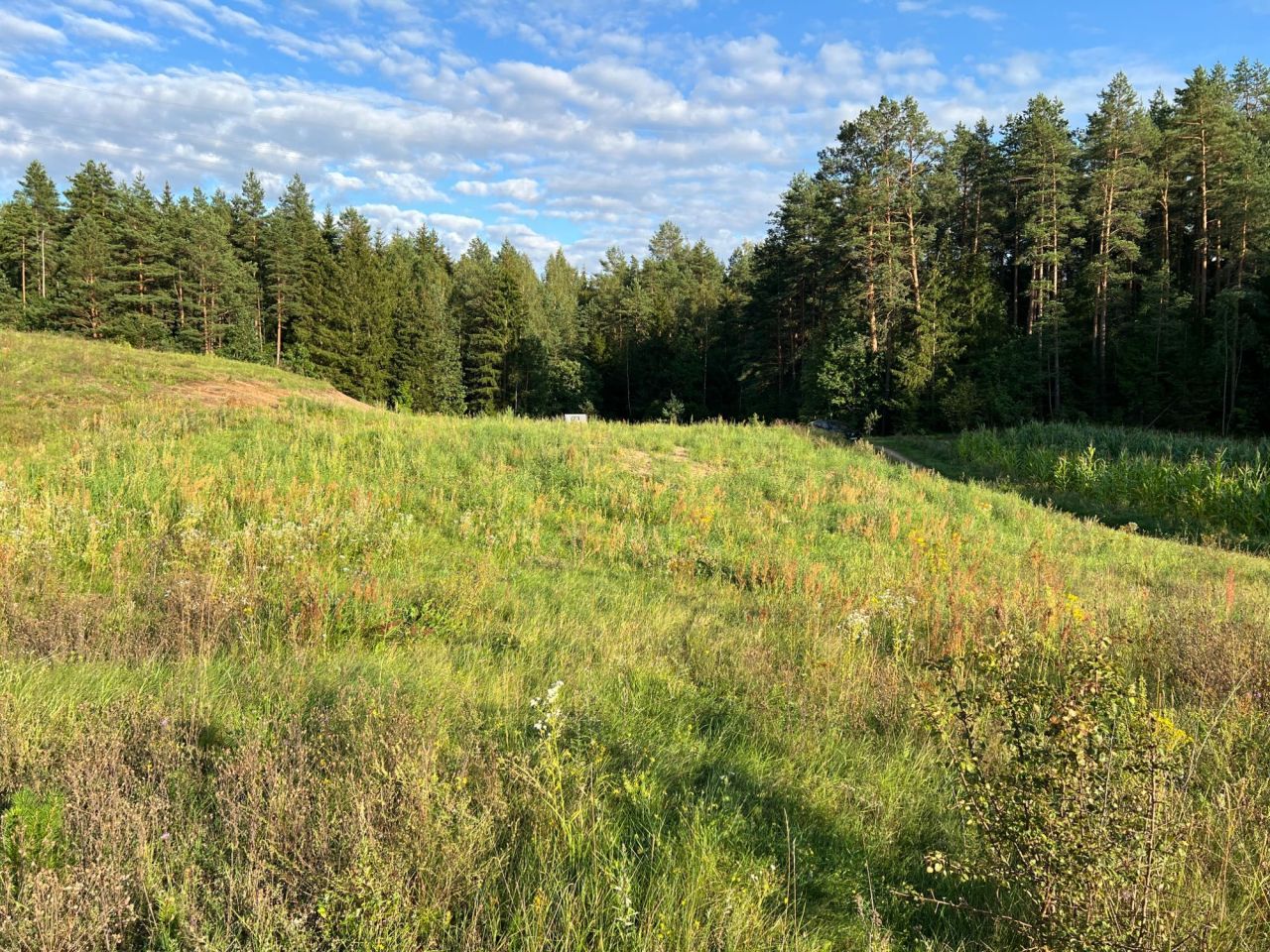 Działka budowlana Prudziszki. Zdjęcie 6