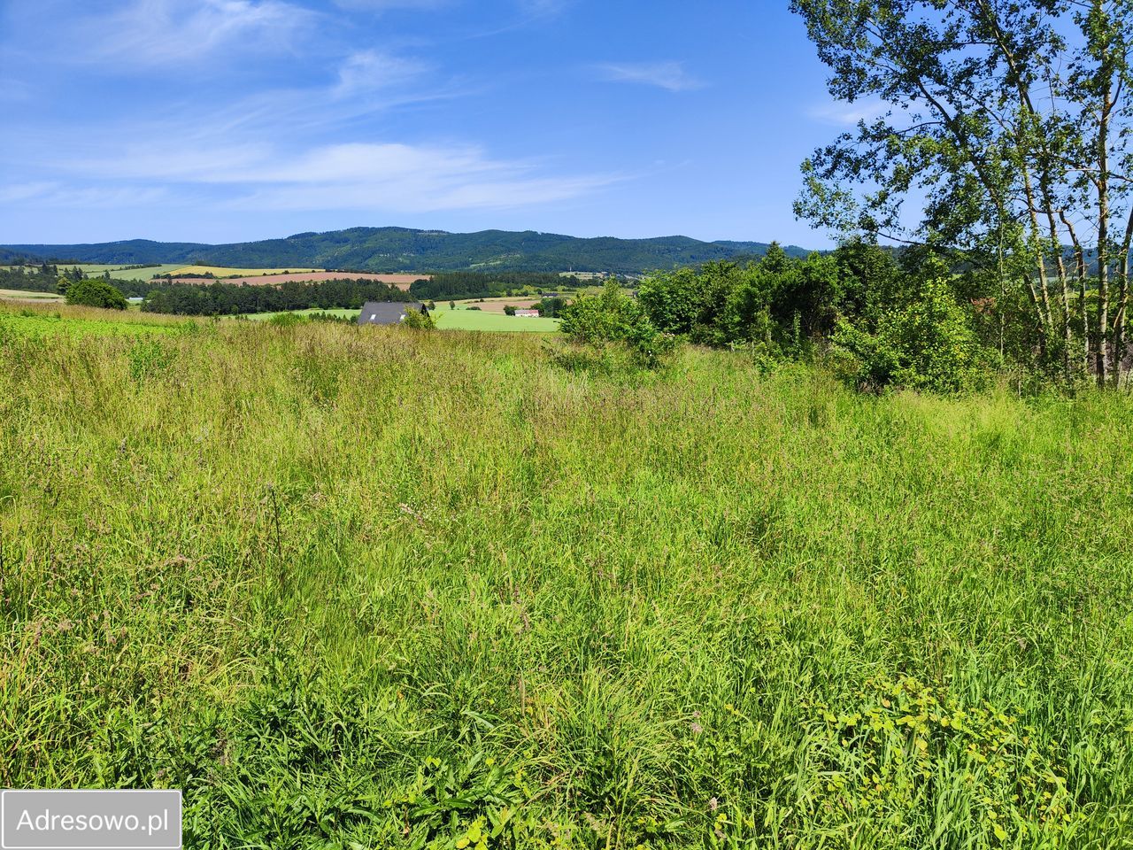 Działka budowlana Dzikowiec. Zdjęcie 17