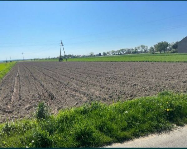 Działka budowlana Wierzchlas, ul. Sportowa. Zdjęcie 1