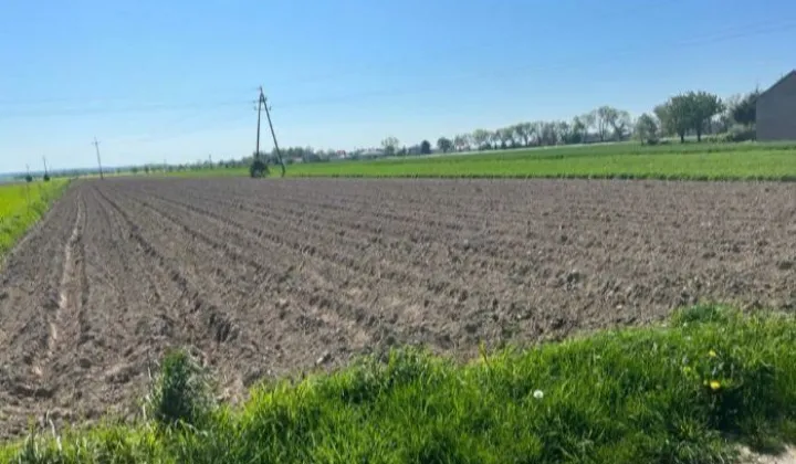 Działka budowlana Wierzchlas, ul. Sportowa