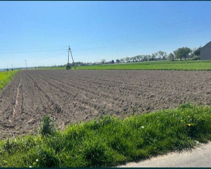 Działka budowlana Wierzchlas, ul. Sportowa