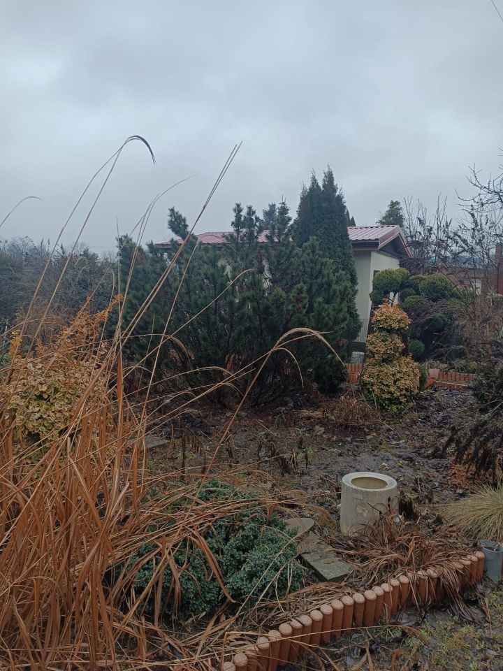 Działka rod Ostrów Wielkopolski. Zdjęcie 2