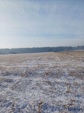 Działka budowlana Pisarzowice. Zdjęcie 1