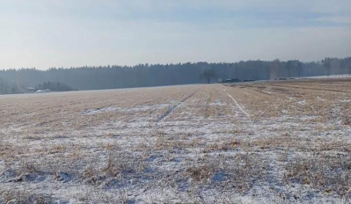 Działka budowlana Pisarzowice