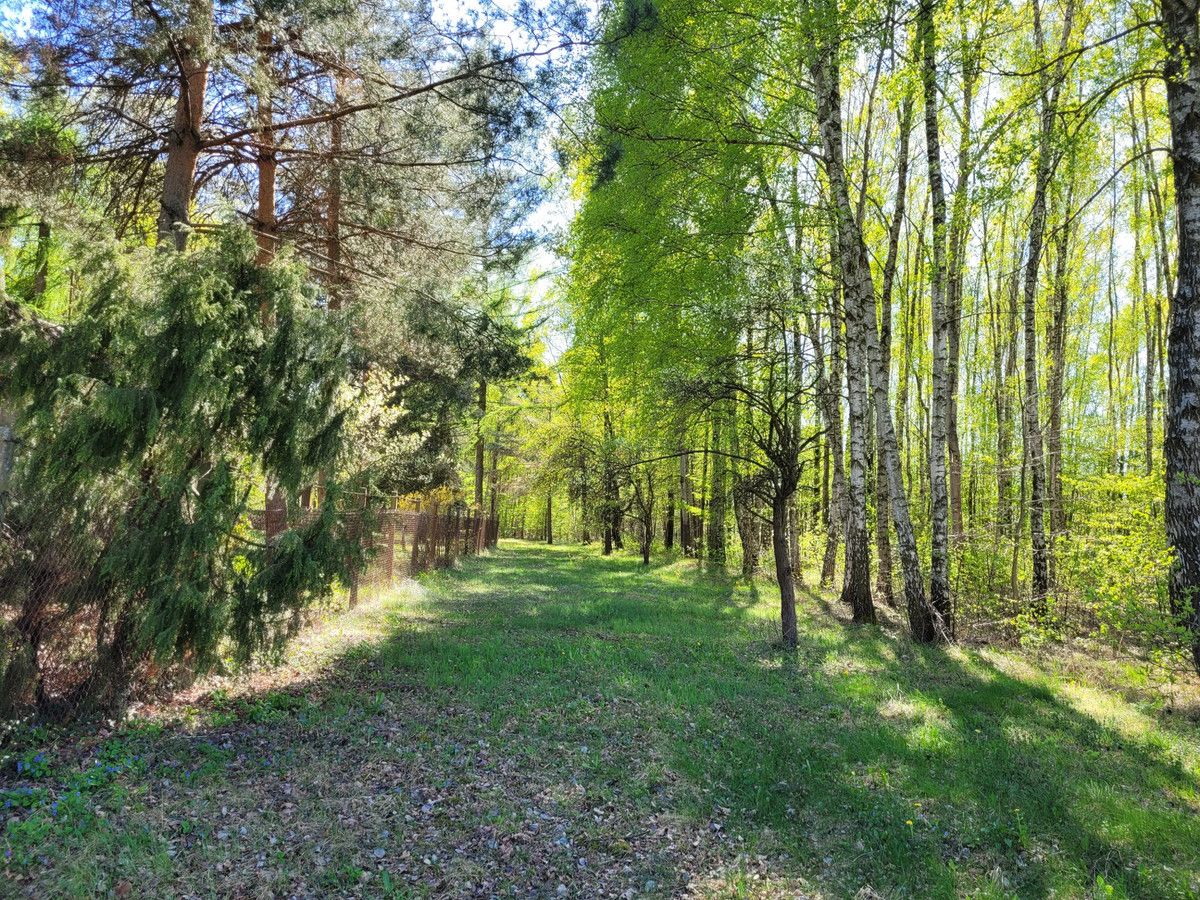 siedlisko Zaręby, ul. Kuropatwy. Zdjęcie 20