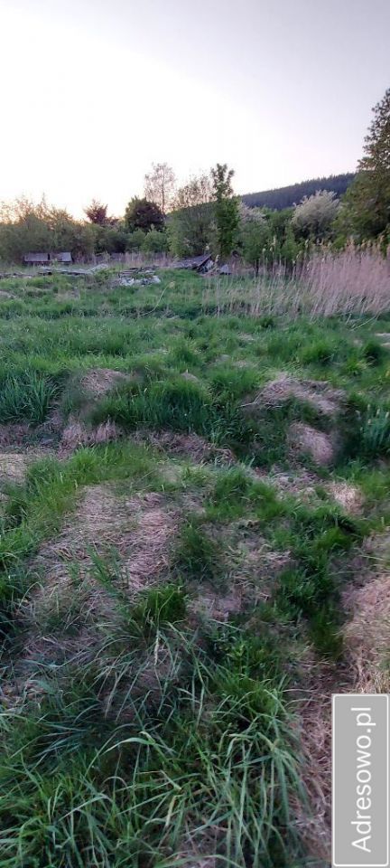 Działka budowlana Wambierzyce Górne Wambierzyce, ul. Wiejska. Zdjęcie 11