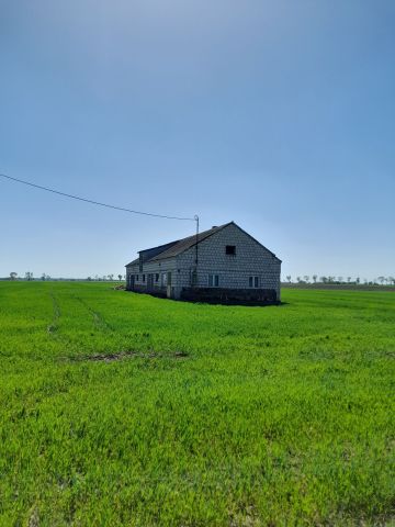 Działka rolno-budowlana Milewko. Zdjęcie 1