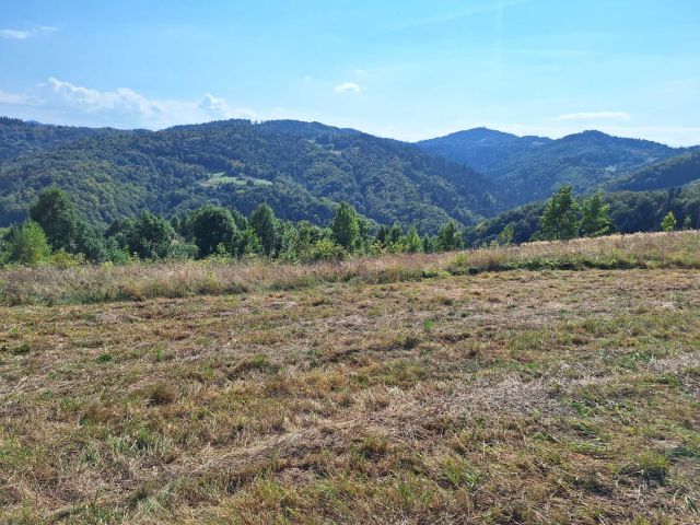 Działka rolno-budowlana Brzyna. Zdjęcie 1