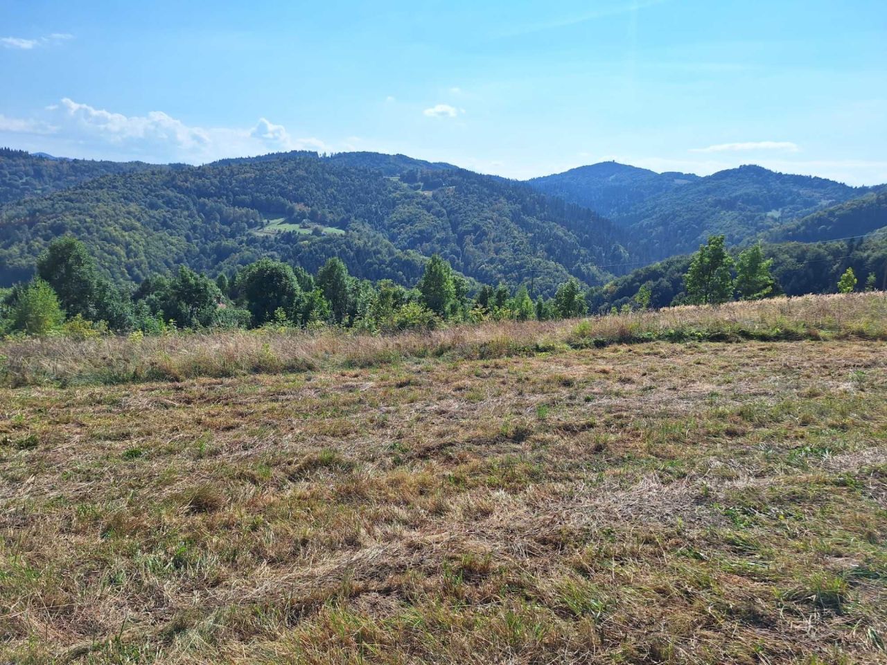 Działka rolno-budowlana Brzyna