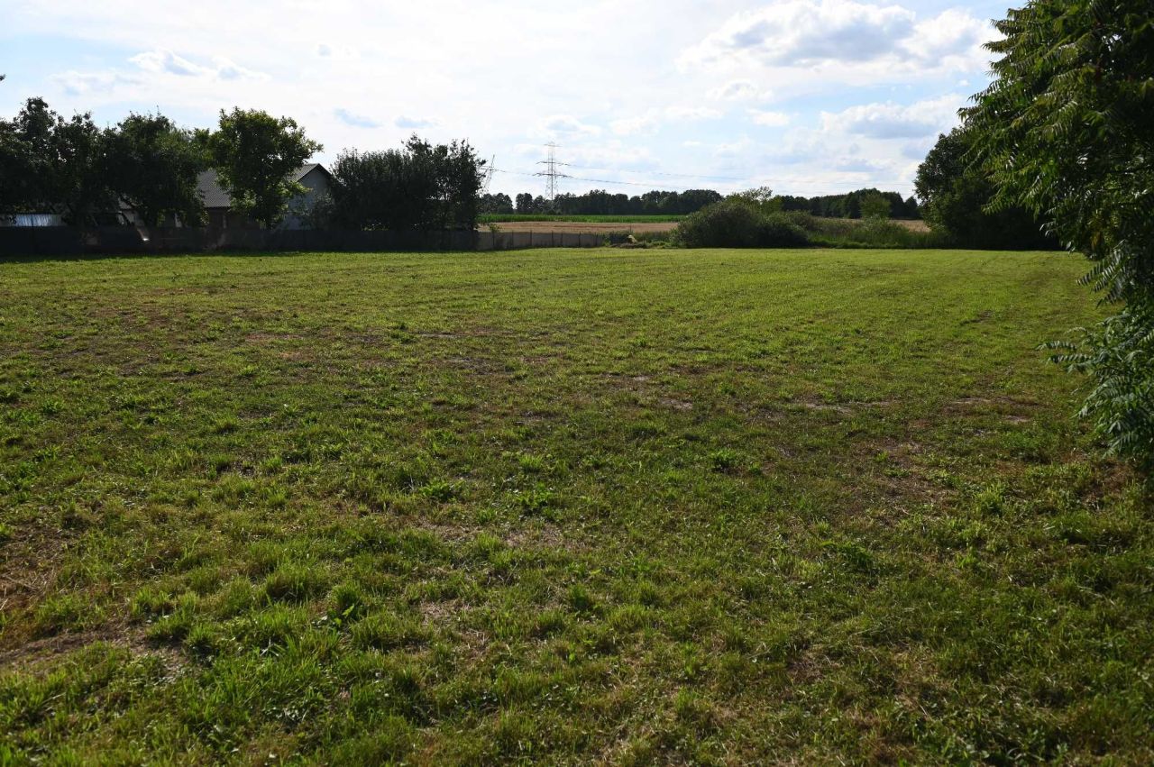 Działka rolno-budowlana Bortatycze-Kolonia. Zdjęcie 2