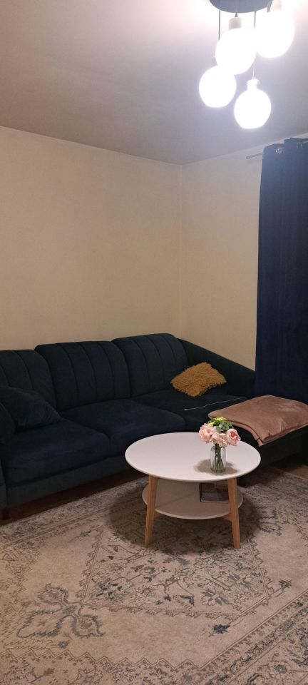 dom wolnostojący, 2 pokoje Częstochowa Zawodzie, ul. Olsztyńska. Zdjęcie 5