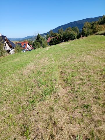 Działka budowlana Gruszowiec Do Jakubca. Zdjęcie 1