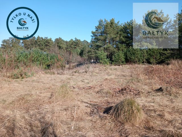 Działka budowlana Gowino. Zdjęcie 2
