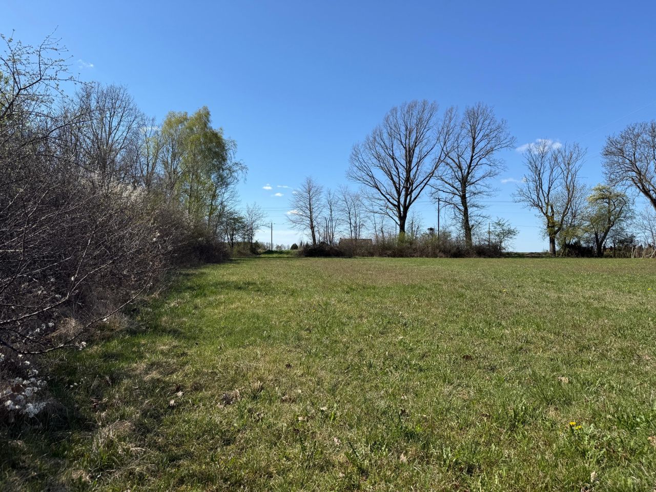 Działka budowlana Ruchenka, ul. Lipowa. Zdjęcie 6