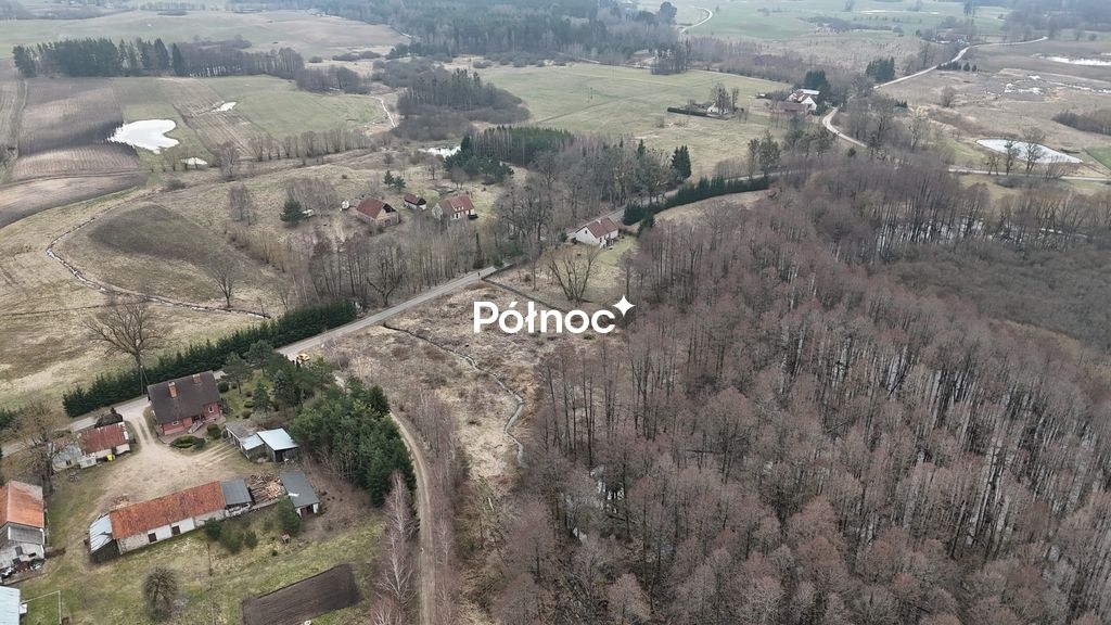 Działka rolna Rogojny. Zdjęcie 5