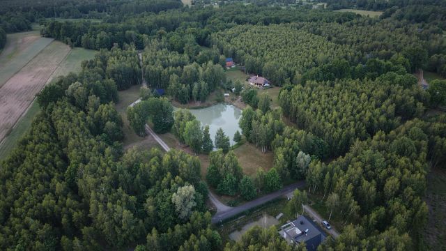 Działka budowlana Sadek, ul. Jesionowa. Zdjęcie 2
