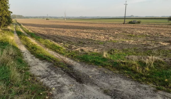 Działka rolno-budowlana Bolewice