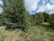 Działka budowlana Niewodnica Korycka. Zdjęcie 1