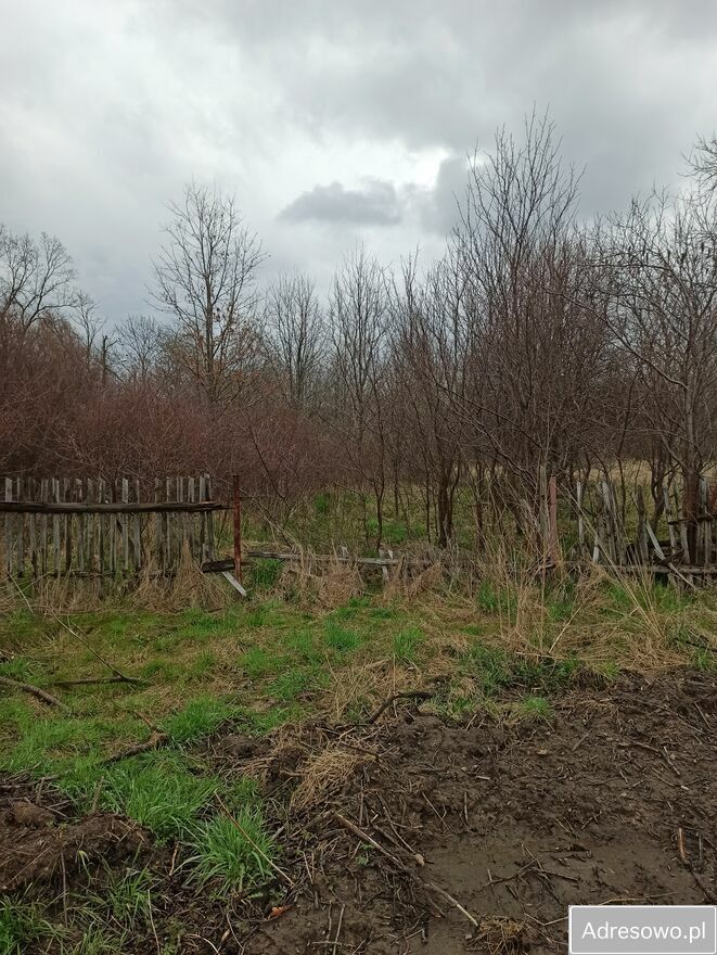 Działka rolna Płaczków. Zdjęcie 11