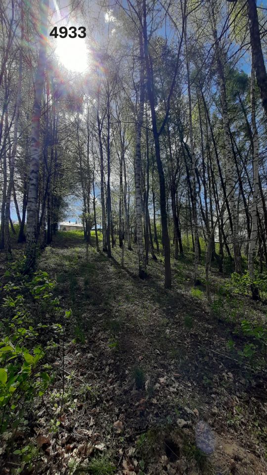 Działka rolno-budowlana Rzeszów Przybyszówka, ul. Złocista. Zdjęcie 7