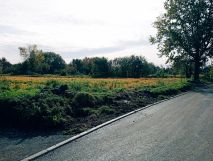 Działka rolno-budowlana Godziszowa. Zdjęcie 1