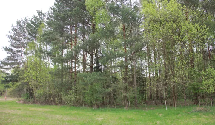 Działka budowlana Przybyszowy