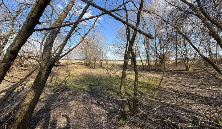 Działka rolno-budowlana Biadacz, ul. Kozłowicka