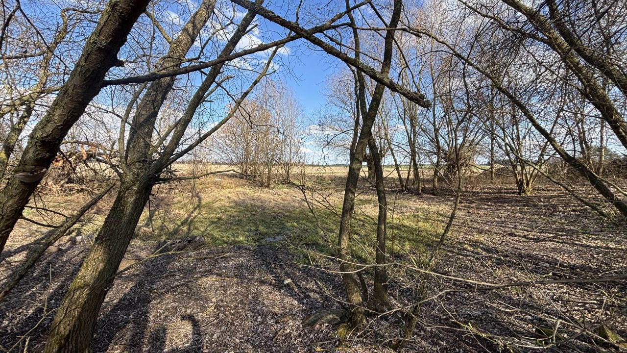 Działka rolno-budowlana Biadacz, ul. Kozłowicka. Zdjęcie 1