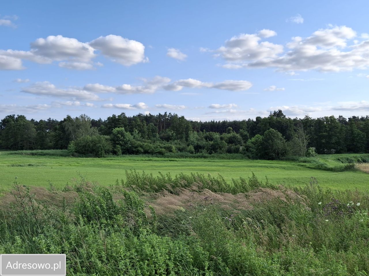 dom wolnostojący, 3 pokoje Twardów. Zdjęcie 6