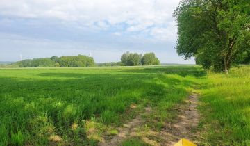 Działka rolna Kruszyna