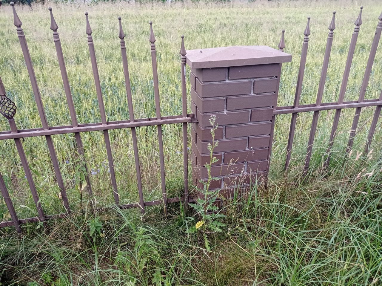 gospodarstwo Żdżary. Zdjęcie 4