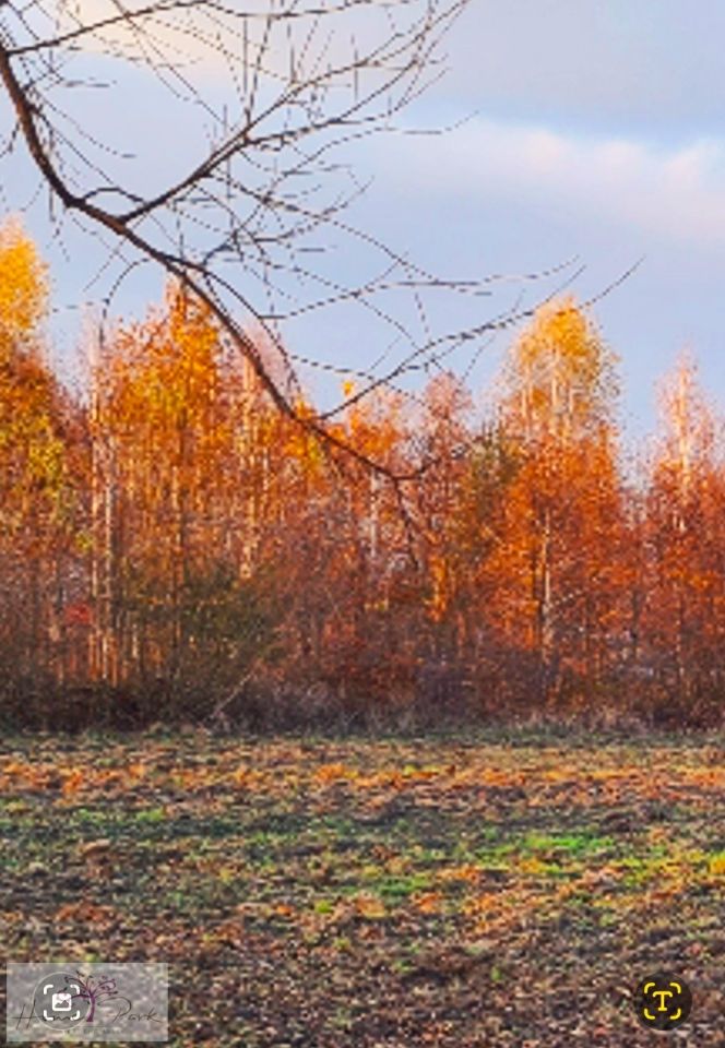 Działka budowlana Feliksów. Zdjęcie 6