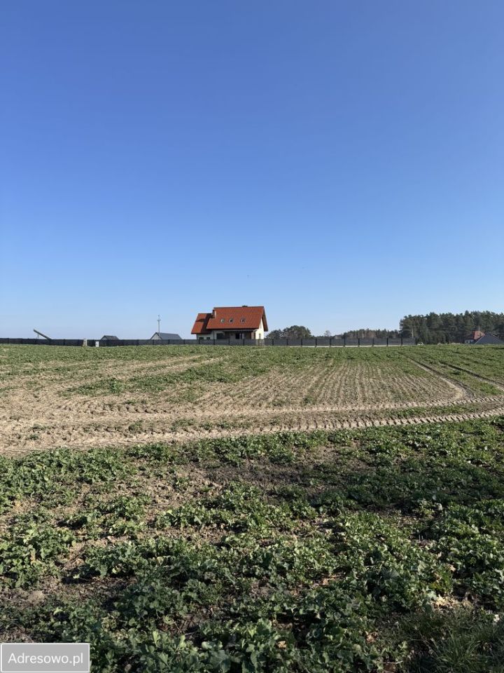 Działka budowlana Adamowo. Zdjęcie 8