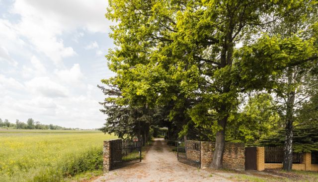 dom wolnostojący, 12 pokoi Tłuste. Zdjęcie 7