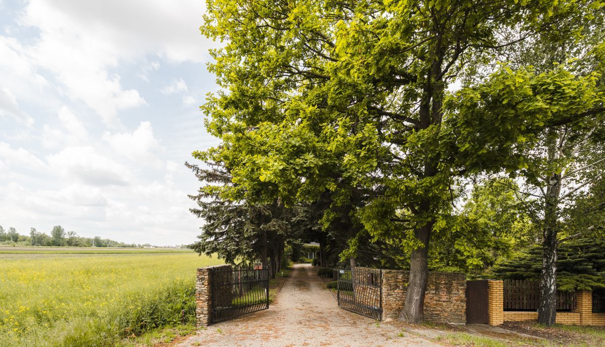 dom wolnostojący, 12 pokoi Tłuste. Zdjęcie 7