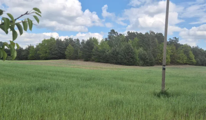 Działka budowlana Stary Witoszyn